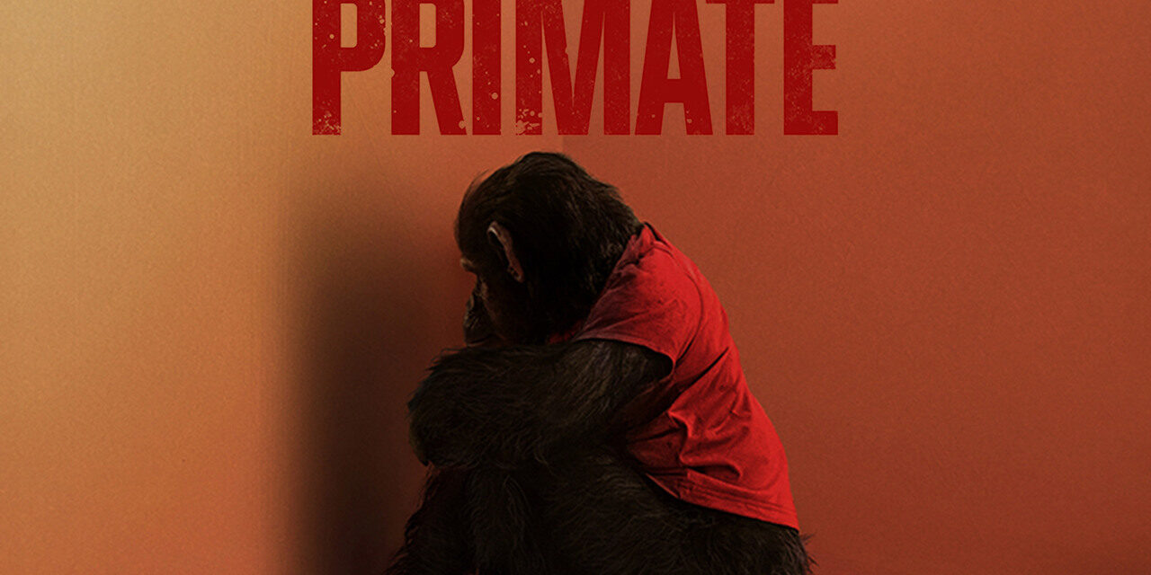 ‘Lucy, Bad’ – New Clip From ‘Primate’ Stirs Up The Terror For An Animal Attack Movie