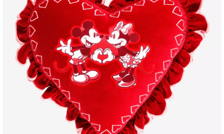 BoxLunch Valentine’s Day Gift Guide 2026: Fandom-Filled Presents They’ll Truly Love