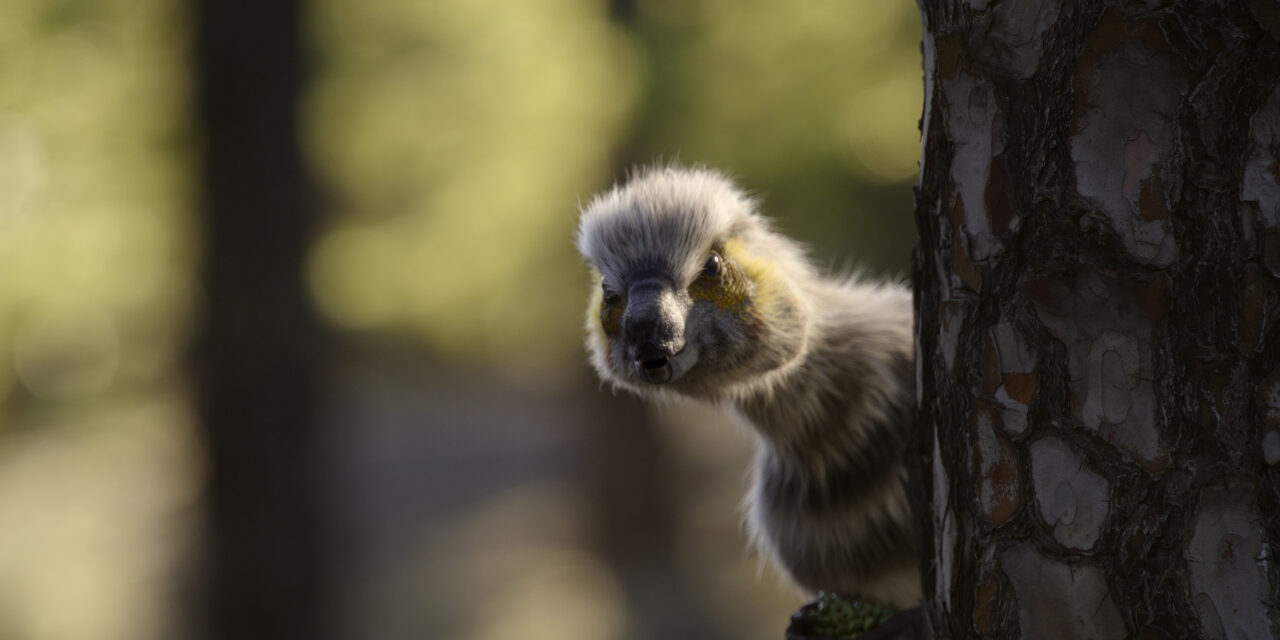 ‘The Dinosaurs’ Soon Returning From Extinction On Netflix